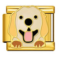 Golden Paw Charm No.6