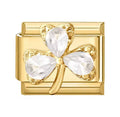 Charm Golden Luck